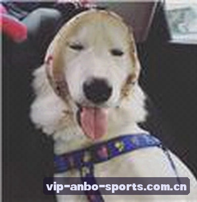 李敏